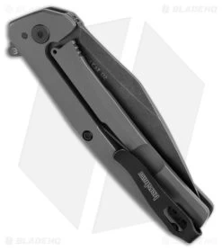 Kershaw Flyby Spring Assisted Frame Lock Knife Gray Steel (3" Black SW D2) 1404 -Kershaw Shop Kershaw Flyby Knife Gray BW BHQ 178494 jr side