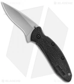 Kershaw Scallion Assisted Opening Knife Black GRN (2.25" Bead Blast) 1620