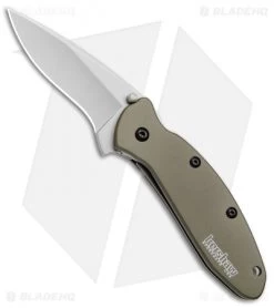 Kershaw Shop 32 Kershaw Scallion Assisted Opening Knife Olive Green (2.25" Bead Blast) 1620OL