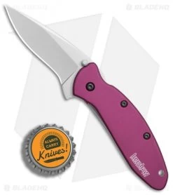 Kershaw Scallion Assisted Opening Knife Purple (2.25" Bead Blast) 1620PUR 7 Kershaw Scallion Assisted Opening Knife Purple (2.25" Bead Blast) 1620PUR -Kershaw Shop Kershaw Scallion purple bb BHQ 14804 er bottlecap