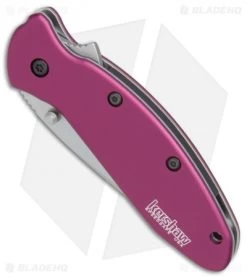 Kershaw Scallion Assisted Opening Knife Purple (2.25" Bead Blast) 1620PUR 6 Kershaw Scallion Assisted Opening Knife Purple (2.25" Bead Blast) 1620PUR -Kershaw Shop Kershaw Scallion purple bb BHQ 14804 er spine