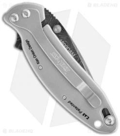 Kershaw Shop -Kershaw Shop kershaw 1600dam chive damascus plain back