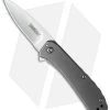 Kershaw Amplitude 2.5 Assisted Opening Knife (2.5" Satin) 3870