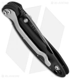 Kershaw Chive Assisted Opening Knife Black (1.94" Damascus) 1600DAMBK -Kershaw Shop kershaw black damascus plain 1600damckt chive side