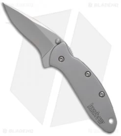 Kershaw Shop 34 Kershaw Chive Assisted Opening Knife (1.94" Bead Blast) 1600